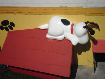 Snoopy! 2.jpg
